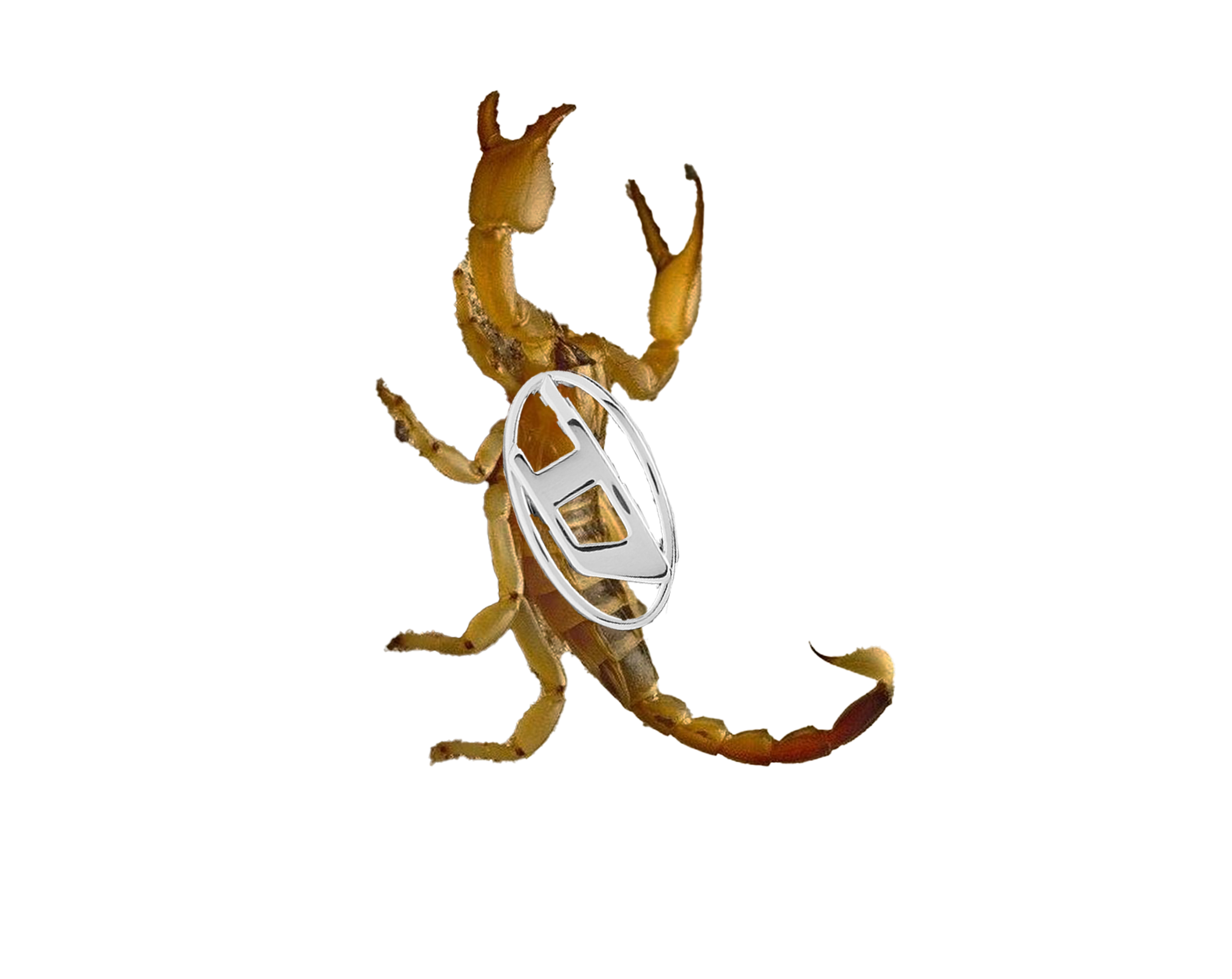 Floating Image 14